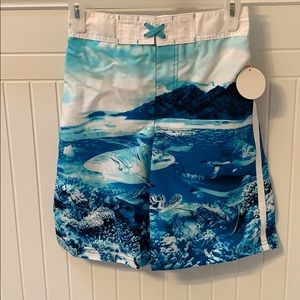 Swim Trunks / Shorts - Lined - Boys NEW